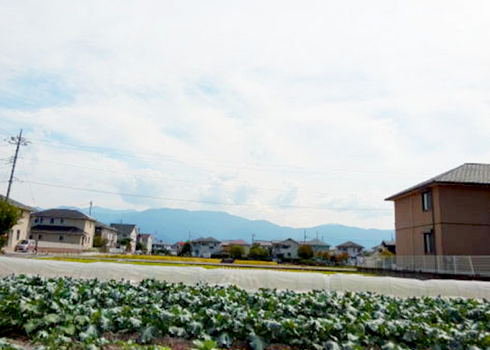 敷地内の環境、畑、花壇